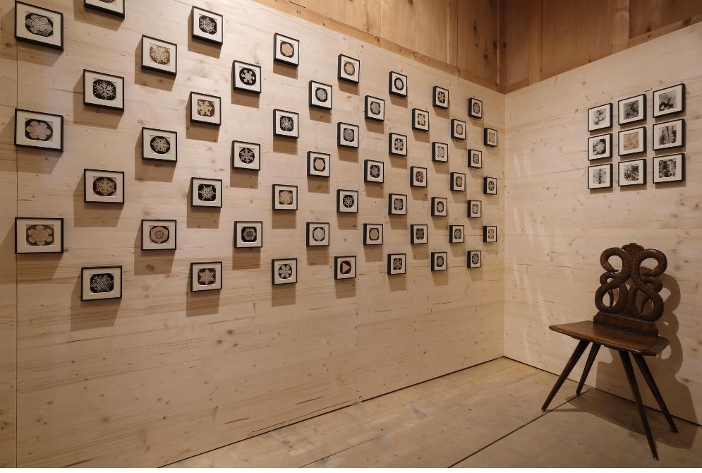 The Snowflakes of Wilson Bentley [Nomad]